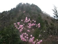栃木の石裂山