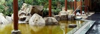 あったかい豊島園庭の湯とイルミネーション