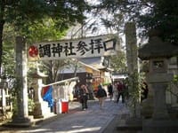 初詣に行こう!!　浦和駅から徒歩15分くらいの調神社、そのあと釜飯で新年会♪