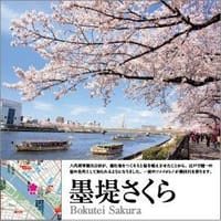 江戸から続く花見の名所：墨堤桜巡りをしませんか