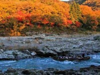 【雨天中止】紅葉の「妙義山・神流町・秩父・長瀞」ワインディングロードへ