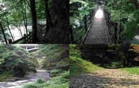 奥多摩の夏の木陰道「氷川渓谷遊歩道〜登計癒しの小径」