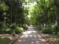 「行田公園 １００ｋｍリレーマラソン大会」