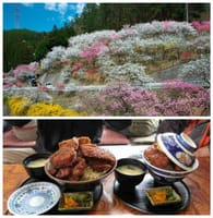 恒例・信州駒ヶ根・花桃の里とデカ盛りソースカツ丼ツーリング
