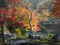 奥多摩の紅葉！！澤乃井 酒造見学と、ままごとやのランチ、櫛かんざし美術館、玉堂美術館 も！