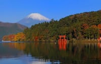 『 秋色の箱根をドライブ＆散策：芦ノ湖・元箱根から仙石原・大涌谷へ 』