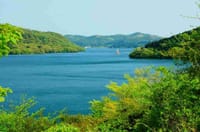 『 新緑の古道を散策：芦ノ湖から箱根旧街道へ＆野外ランチ 』