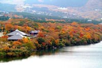 『 晩秋の散策：芦ノ湖から箱根旧街道へ＆美味ランチ 』