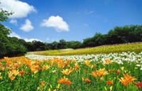 『初夏の散策：花と緑の“可睡ゆりの園” 〜 遠州の名刹“可睡斎” ＆ 和みの夕食会 』