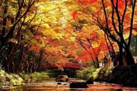 『 さわやかウォーキング 《 紅葉の小國神社散策 》 に参加して秋を歩こう！』