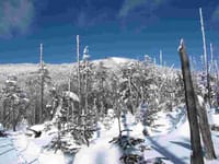 ２０１４年初登山は雪山入門コース。北横岳・縞枯山