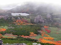 北海道大雪山周辺の紅葉を満喫しましょう。登山＆観光＆温泉