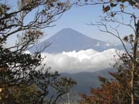 5月13日(日)箱根駒ケ岳に行きます。