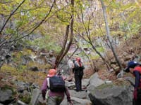 紅葉の「茅ヶ岳」ハイキング
