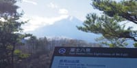 花観賞「倉見山」ハイキング