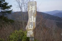 花観賞「坪山」ハイキング