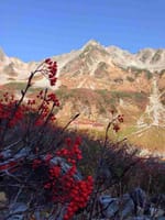 涸沢の紅葉と穂高岳