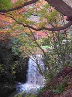 紅葉を求めて、「竜吟の滝」をハイキングです♪