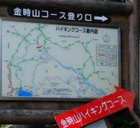 箱根・金時山ハイキング（楽登会）
