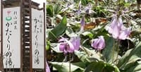 03/25武蔵村山カタクリと桜観賞＋温泉