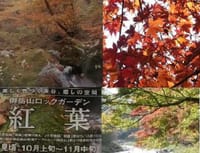 火曜組　御嶽神社＆ロックガーデン紅葉狩り散策