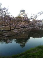 ☆桜は散ったけど…新緑の「大阪城でバーベキュ♪」