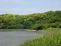 三浦半島「トトロの森」散策と水中遊覧∞♪
