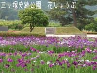 丹波ツーリングと三ッ塚史跡公園の花しょうぶ鑑賞