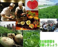 第二回　樋口農園の京野菜収穫と、上賀茂秋山の秋野菜ランチ
