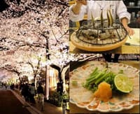 春オフ?　桜開花の京都を楽しむ＆割烹「やました」