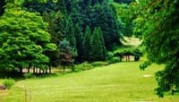 ◆県立矢田自然公園ハイキング(松尾寺より)<初級>