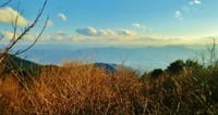 ◆和泉葛城山:天然ブナ林の散策ハイク　<初心者向> 