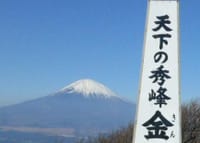 初冬の金時山へ　天下の秀峰、富士山を眺めに