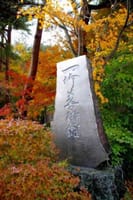 ★女子専用★秋空に映える紅葉　久保田一竹美術館で日本の秋を満喫しよう