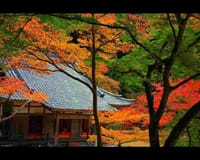 古都奈良の隠れた紅葉スポット　・・・　「正歴寺」〜「白毫寺」〜「奈良公園」へ