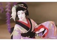 シネマ歌舞伎　二人藤娘/日本振袖始