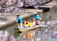 大垣城と舟下りでお花見しよ！