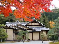 京都・嵯峨野の平安時代の面影を残しているお庭を訊ねる。