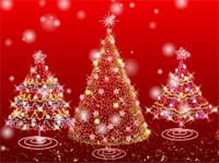 ◆◇◆〜☆華やかなるクリスマス会＆忘年会☆〜◆◇◆