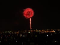 【ゆったりと高い場所から江戸川の花火を観よう！】