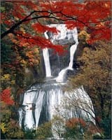 袋田の滝の紅葉と新鮮なネタの回転寿司で秋を満喫！