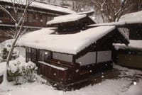 秘湯　法師温泉に泊ってスノーシューで雪山を歩く　　2016年2月14日から