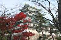 急ですが♪秋の名古屋城散策”お城の話をしませんか”