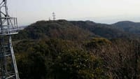 三浦富士〜武山。三浦海岸の河津桜。
