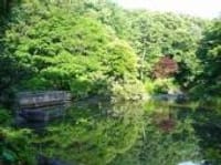 六本木〜有栖川宮記念公園辺りの散策をしませんか？