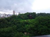 椿山荘の庭園と江戸川公園辺りの散策をしませんか？