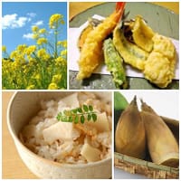 贅沢♪旬の春野菜と海老穴子の天ぷらと筍ごはん(^O^)/
