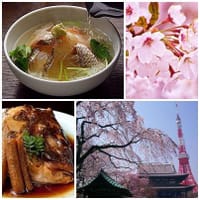 芝・増上寺満開の桜と、美味お茶漬け 鯛茶に鮪茶♪