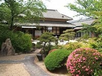 江戸時代の庭と迎賓館と桜