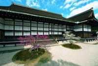 桜の花見をしながら京都御所の一般公開を見にいきましょう。